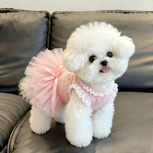 A small white dog wearing a pink ribbed pet dress with a lace-trimmed collar and a large pink tutu skirt, sitting on a gray couch.