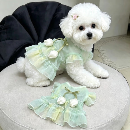 Pet Floral Party Dress