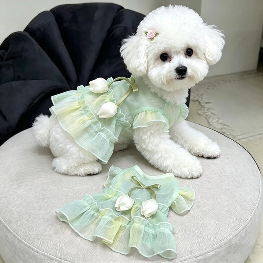 Pet Floral Party Dress