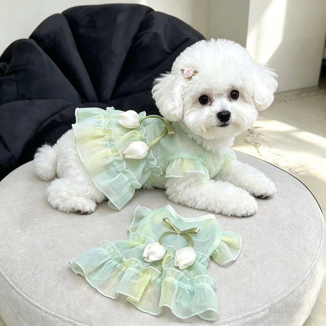 Pet Floral Party Dress