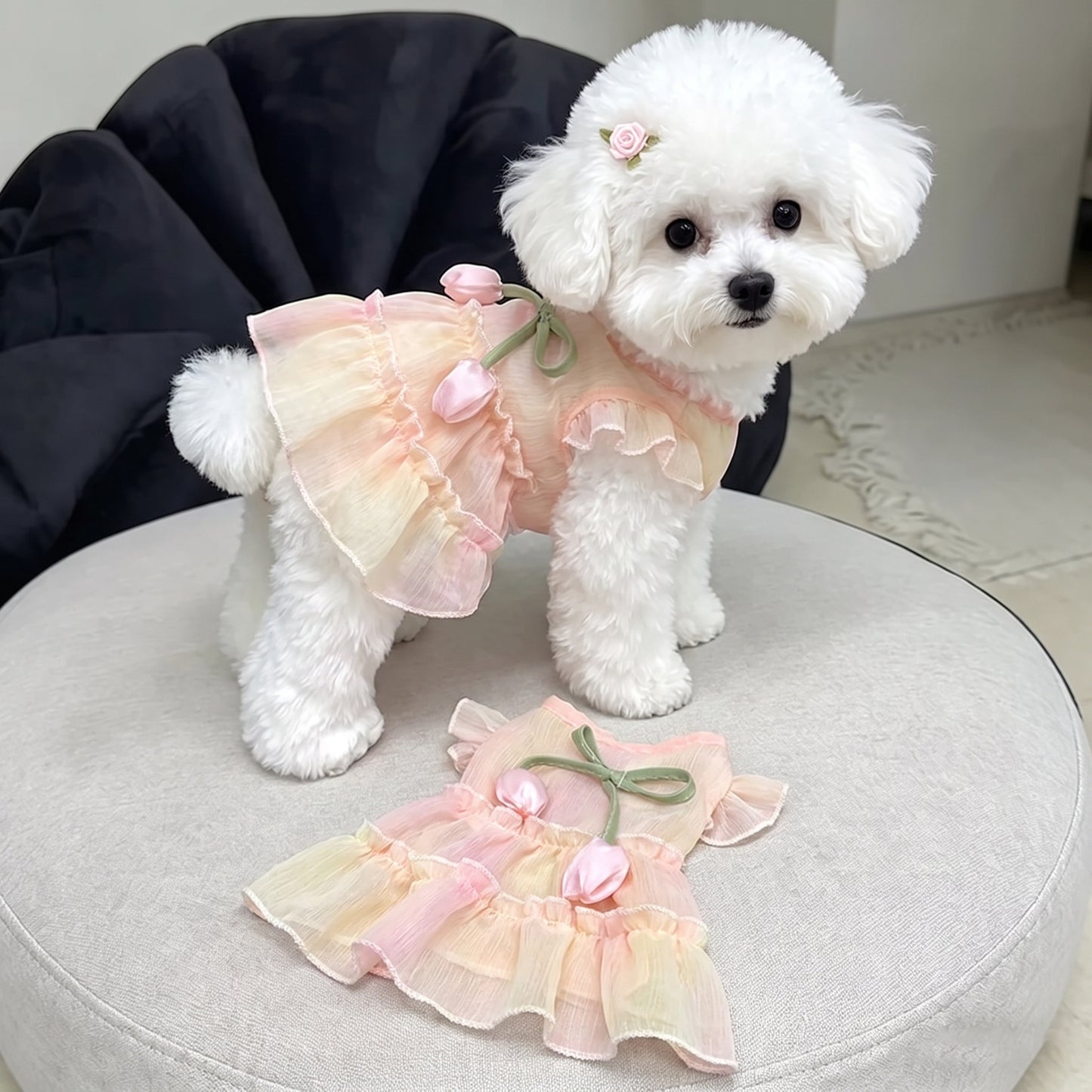 Pet Floral Party Dress