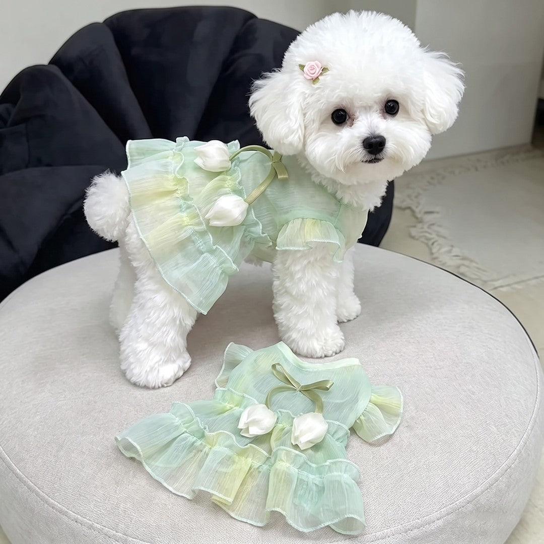 Pet Floral Party Dress