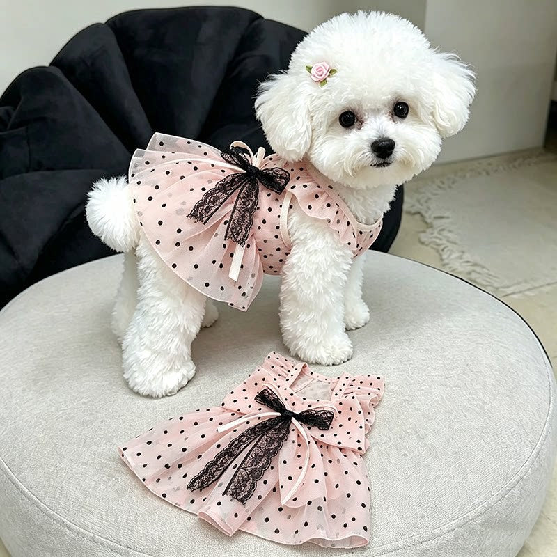 A small white dog wearing a pink polka-dot pet dress with black bows, standing on a round light gray cushion with the dress laid flat in front. A black upholstered chair is visible in the background.