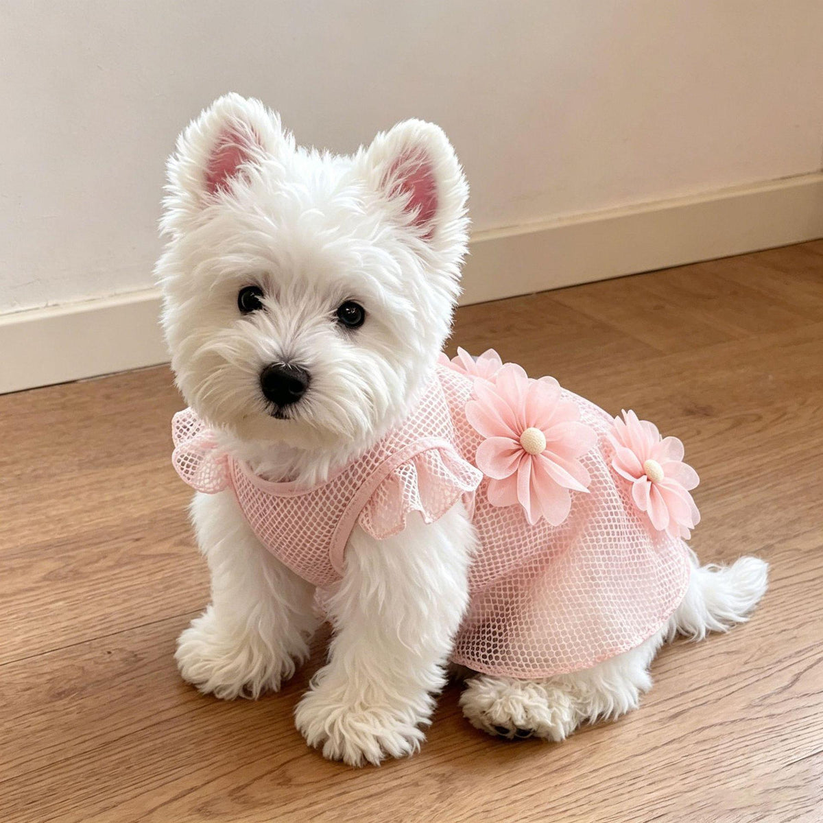 A small white dog wearing a pink mesh pet dress with lace trim and large pink fabric flowers, sitting on a wooden floor against a plain wall.
