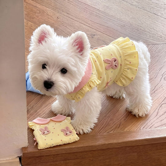 A small white dog wearing a yellow ruffled pet dress with a bunny patch and pink collar, standing on a wooden floor next to the matching dress laid out on the floor.