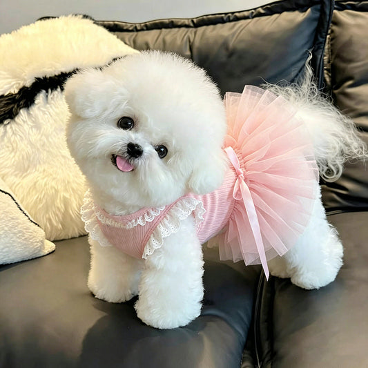 A small white fluffy dog wearing a pink pet dress with a ruffled lace hem and a large layered pink tutu skirt, sitting on a dark gray couch.