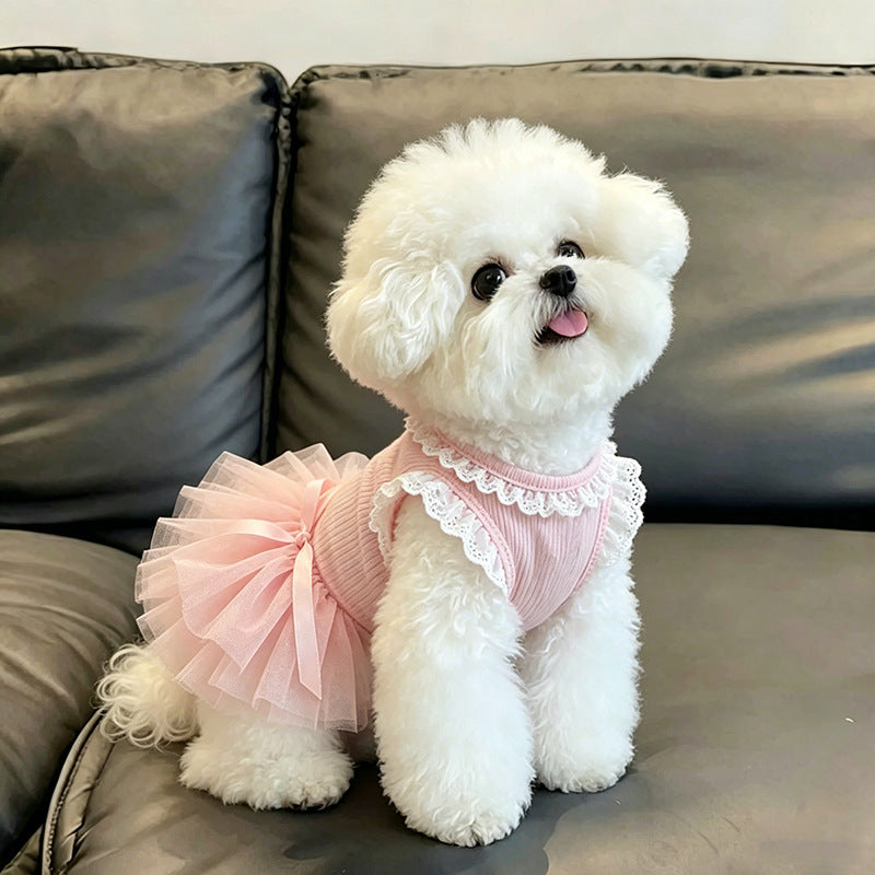 A small white fluffy dog wearing a pink ribbed pet dress with a lace-trimmed neckline and a layered tulle skirt, sitting on a dark gray couch.