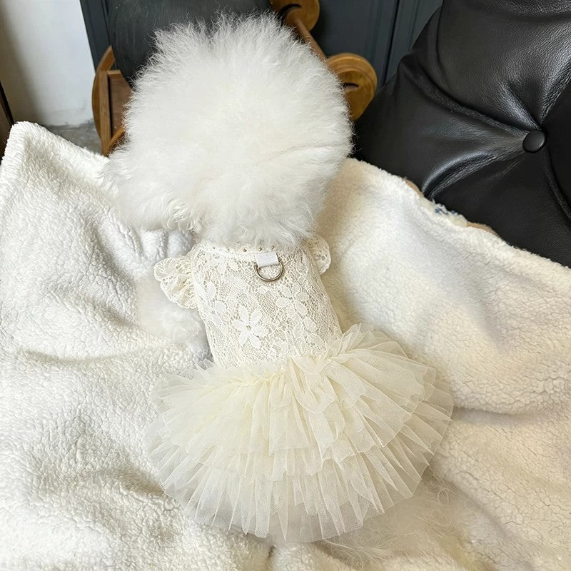 A fluffy white dog dressed in a cream-colored lace pet dress with a ruffled tulle tutu skirt, lying on a white fleece blanket.