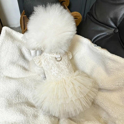 A fluffy white dog dressed in a cream-colored lace pet dress with a ruffled tulle tutu skirt, lying on a white fleece blanket.