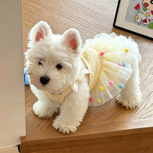 A small white dog wearing a pale yellow pet tutu dress with colorful pom-poms and a matching bow harness, standing on a wooden floor.