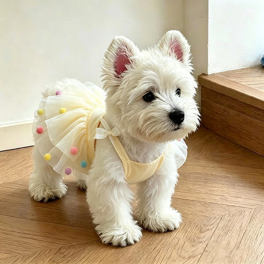A small white dog wearing a cream-colored pet dress with a ruffled tutu and pastel pom-poms, standing on a wooden floor.