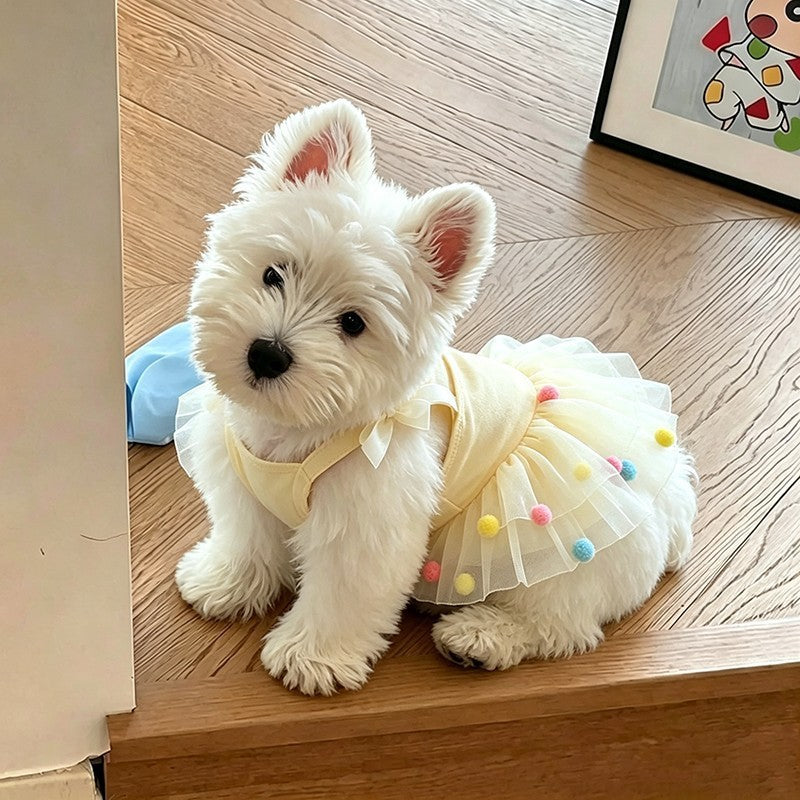 A small white dog wearing a pale yellow pet dress with a tulle tutu and colorful pom-poms, sitting on a wooden floor indoors.