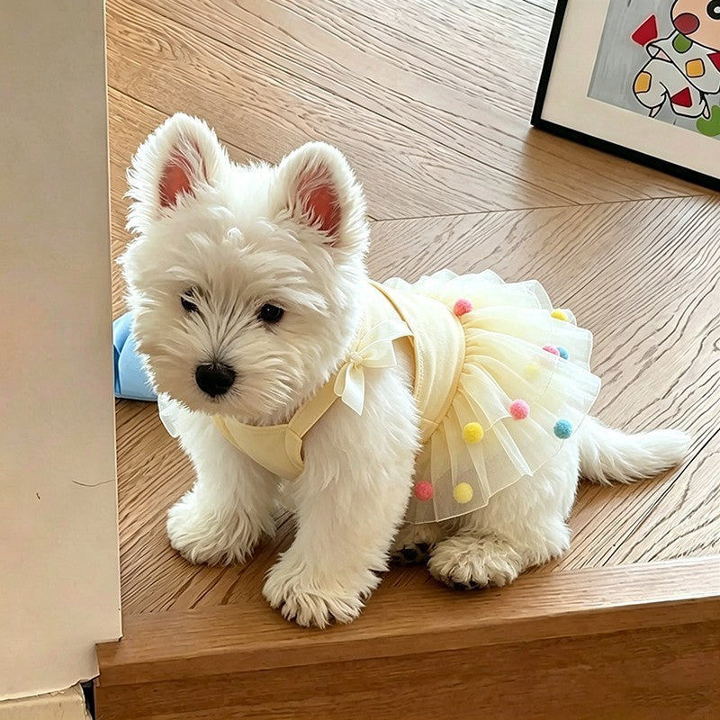 A small white dog wearing a pale yellow pet dress with a tulle skirt and colorful pom-poms, sitting on a wooden floor indoors.