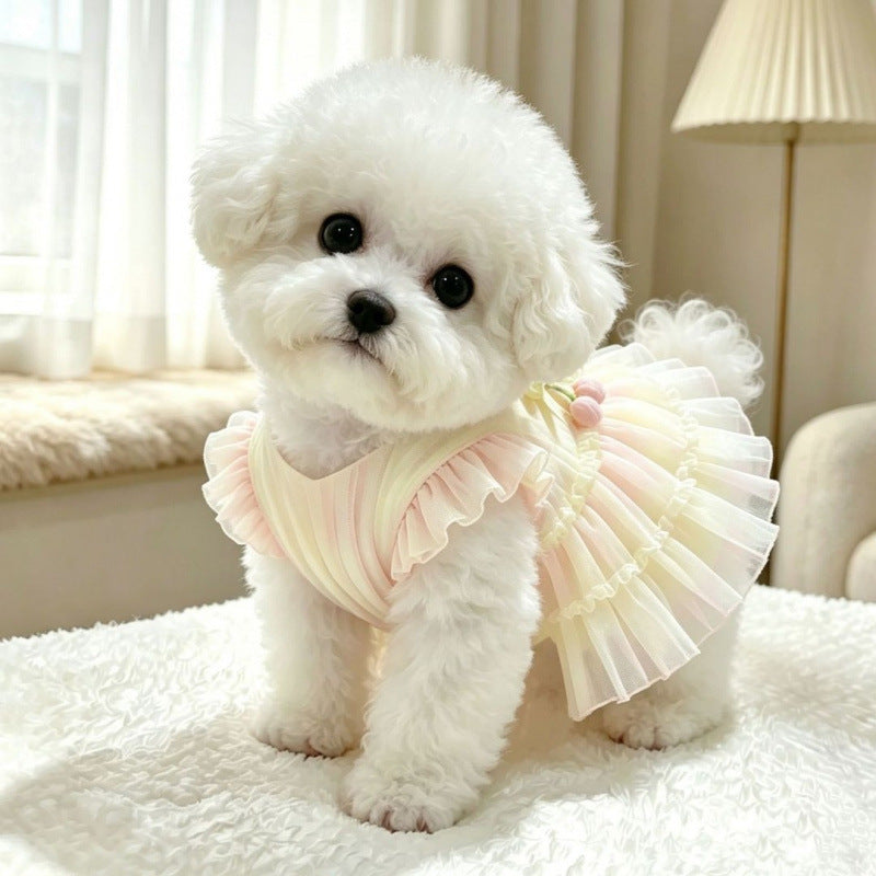 A small white fluffy dog wearing a pastel pink and cream ruffled pet dress, sitting on a white fluffy rug in a softly lit room.