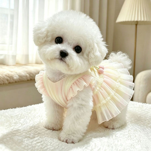 A small white fluffy dog wearing a pastel pink and cream ruffled pet dress, sitting on a white fluffy rug in a softly lit room.