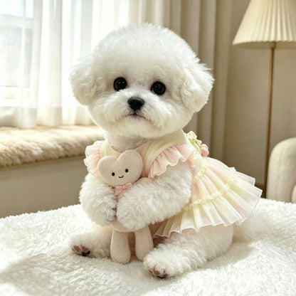 A small white fluffy dog sits on a white blanket in a softly lit room, wearing a pale pink and cream ruffled dress and holding a small plush heart toy.