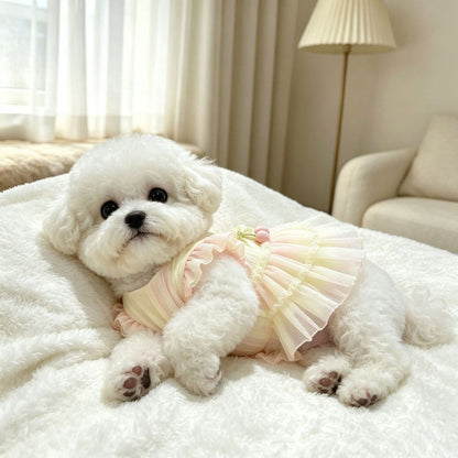 A small white dog lying on a white blanket in a softly lit room, wearing a pale pink and cream ruffled pet dress.
