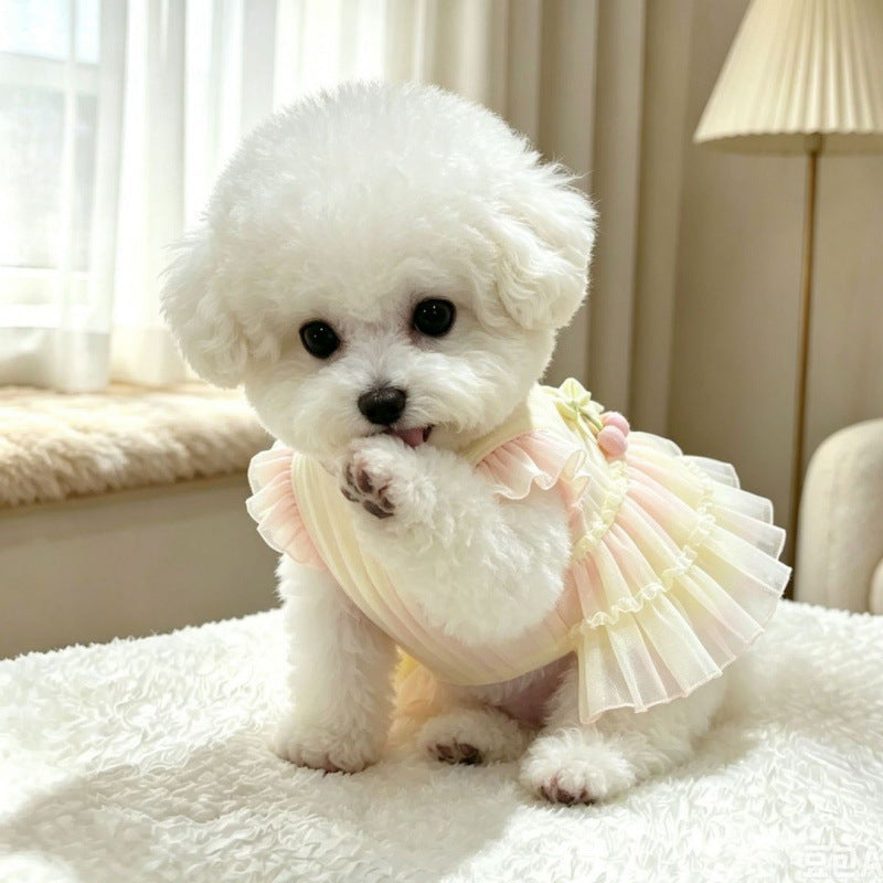 A small white fluffy dog wearing a pastel pink and cream ruffled pet dress, sitting on a white textured blanket in a softly lit indoor room.