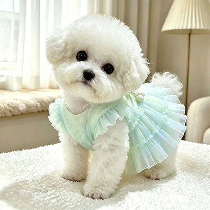 A small white fluffy dog wearing a pale mint green ruffled pet dress, sitting on a white textured blanket in a softly lit indoor room.