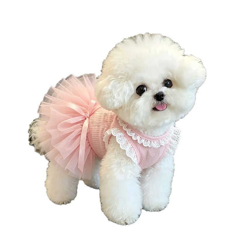 A small white fluffy dog wearing a pink pet dress with a ruffled lace collar and a matching pink tutu skirt, shown against a plain white background.