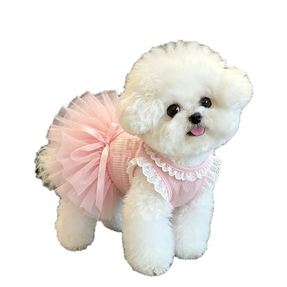 A small white fluffy dog wearing a pink pet dress with a ruffled lace collar and a matching pink tutu skirt, shown against a plain white background.